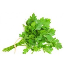 Persil Plat