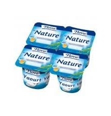 Yaourts Natures Paquet
