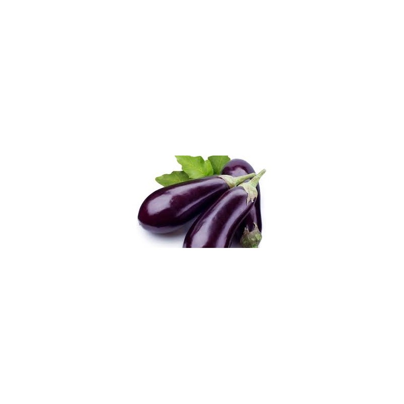 aubergine aubergine