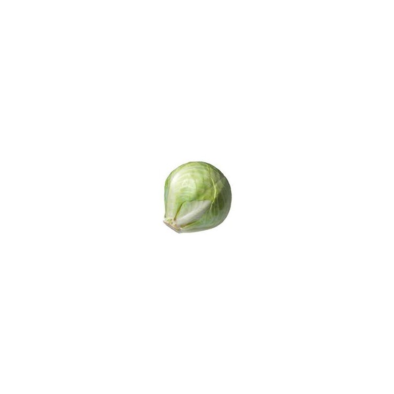 Choux Blanc Choux Blanc