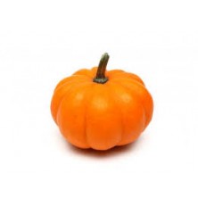 Potimarron