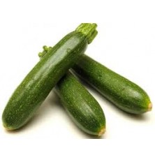 Courgette Verte