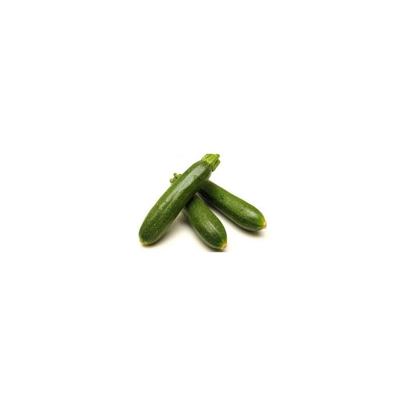 Courgette Verte Courgette Verte