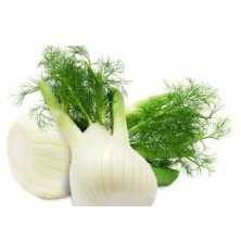 Fenouil