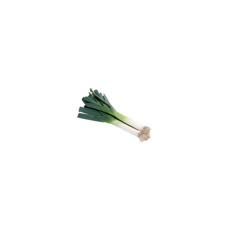 Poireaux Poireaux