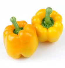 Poivron Jaune