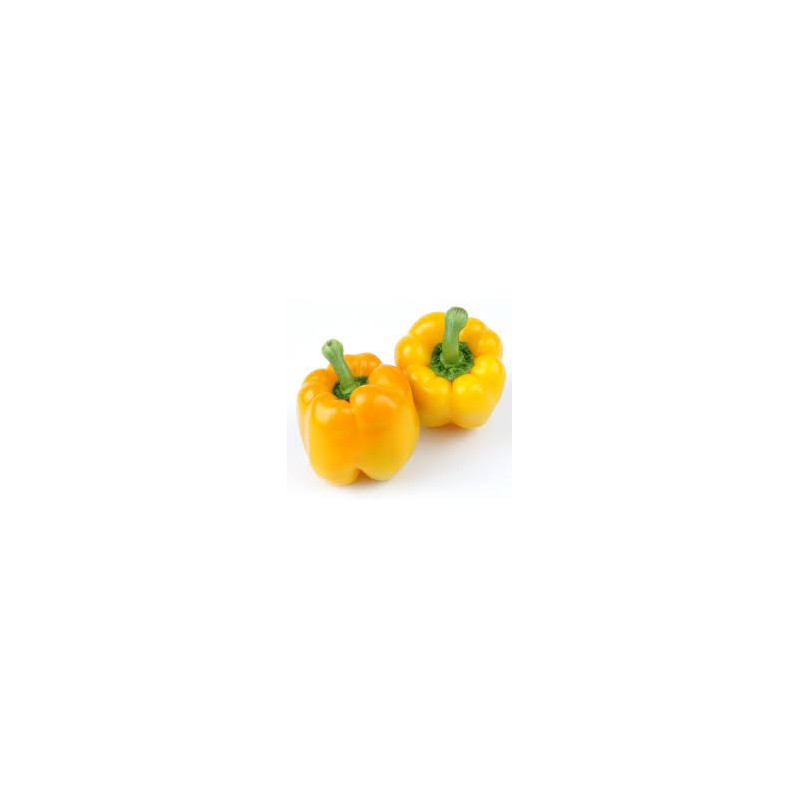 Poivron Jaune Poivron Jaune