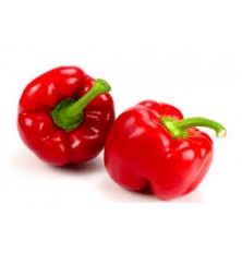 Poivron Rouge