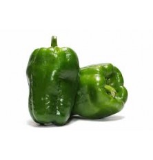 Poivron Vert