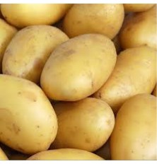 Pomme de Terre Charlotte
