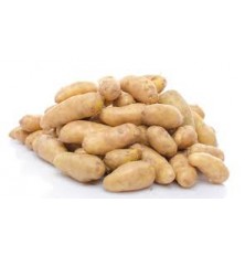 Pomme de Terre Ratte
