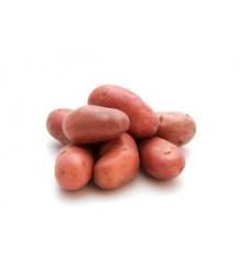 Pomme de Terre Rosevalt