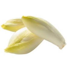 Endives Sachet