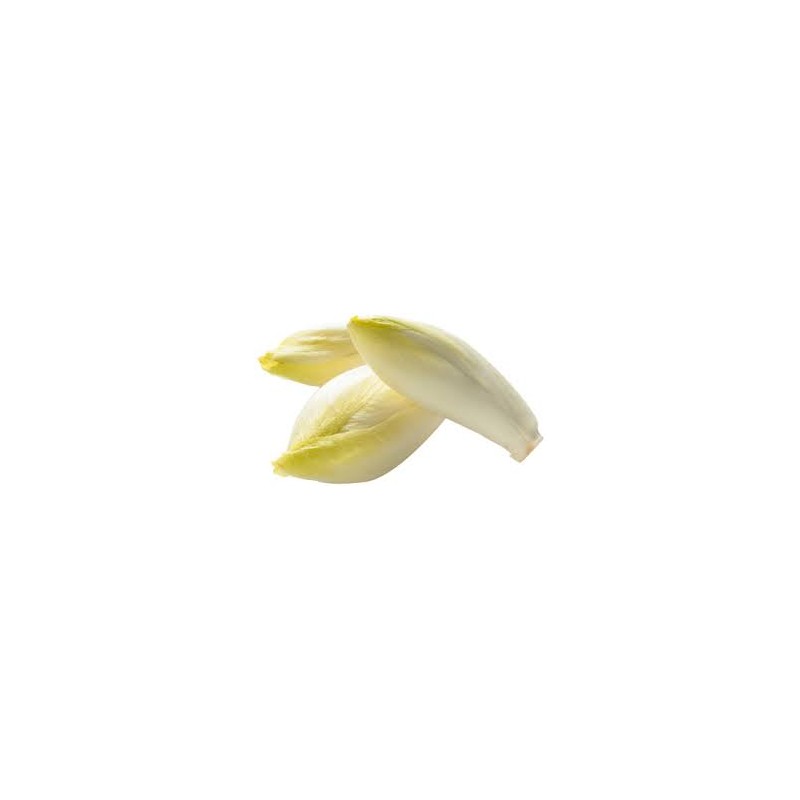 Endives Sachet Endives Sachet