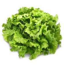 Salade Batavia