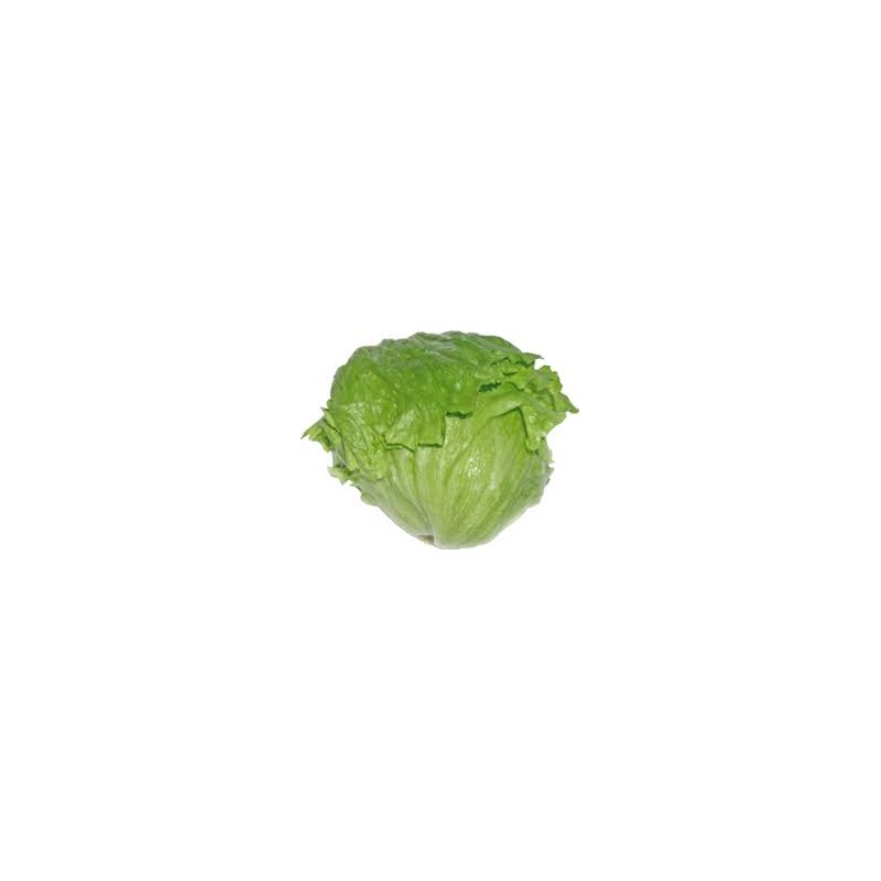Salade Iceberg Salade Iceberg