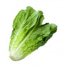 Salade Romaine