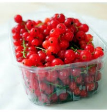 Groseilles