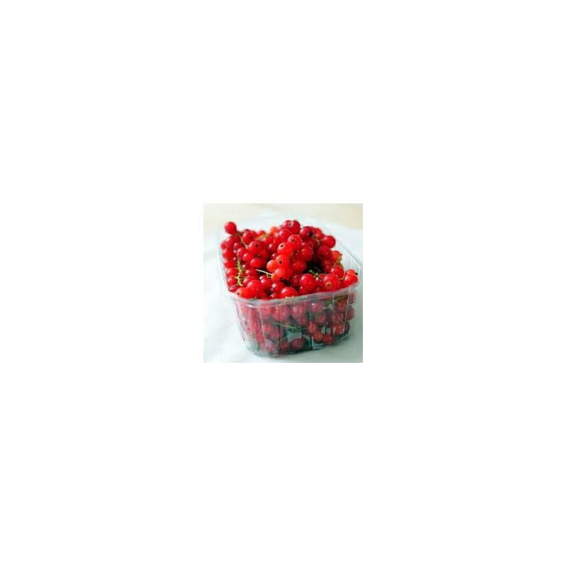 Groseilles Groseilles
