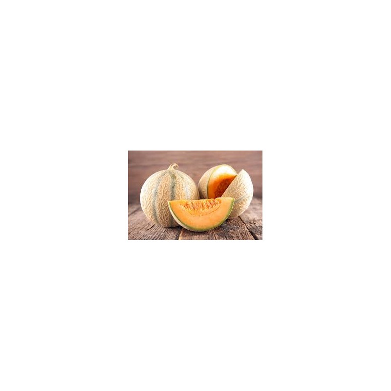Melon Charentais Melon Charentais