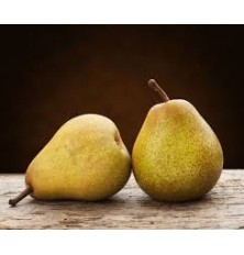 Poire Comice