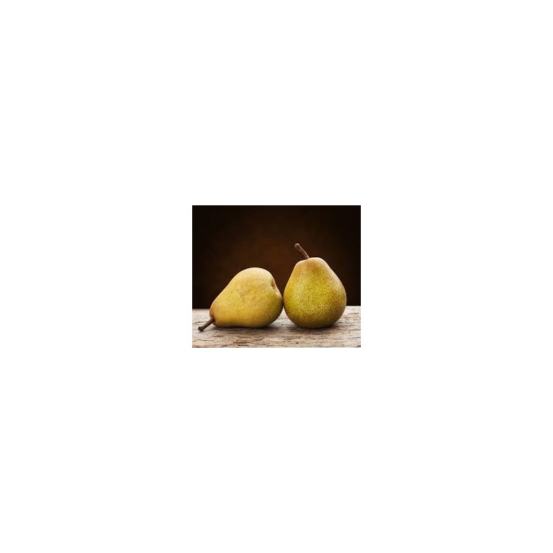 Poire Comice Poire Comice
