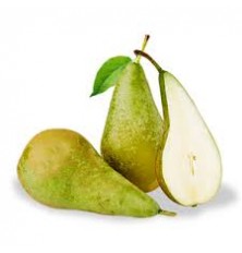 Poire Conference