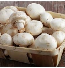 Champignons De Paris