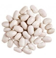 Haricot Coco Blanc