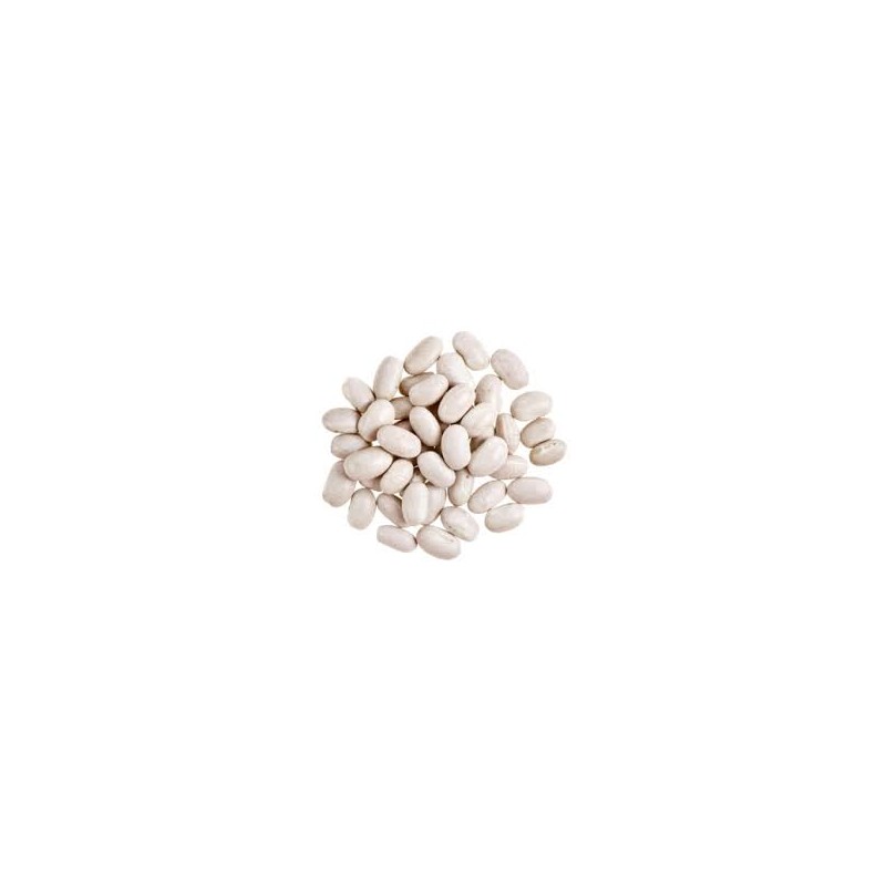 Haricot Coco Blanc Haricot Coco Blanc
