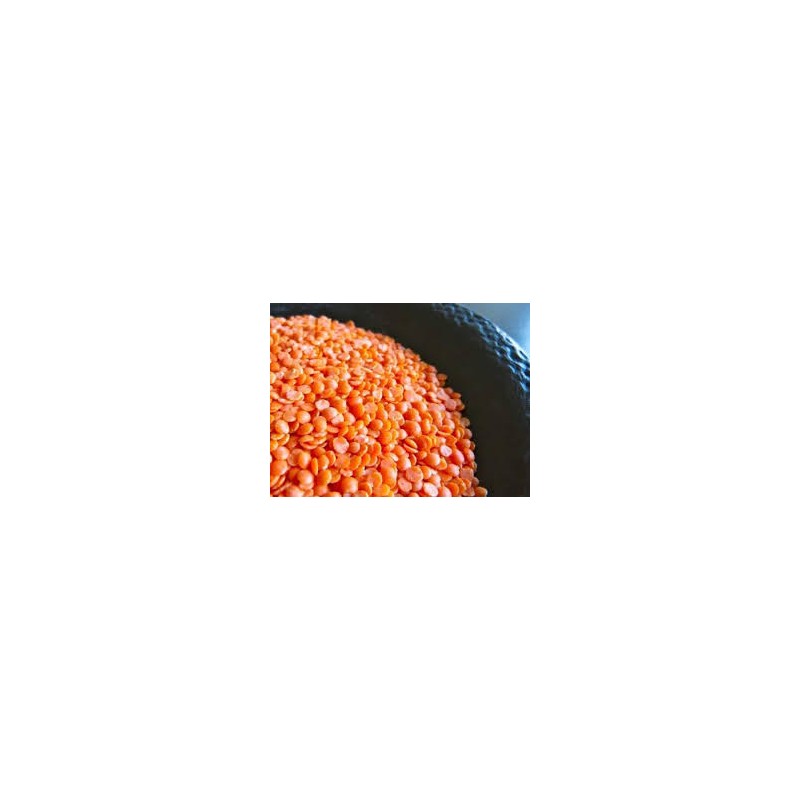 Lentille Corail Lentille Corail