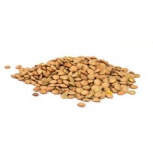 Lentilles Blonde 4MM