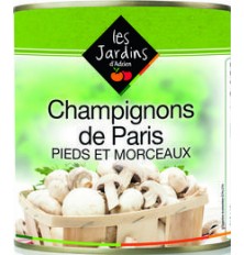 Champignons Paris Pied et Morceaux