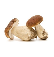 Cèpes Bouchons Surgelés