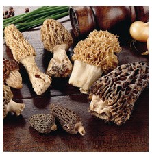 Morilles Surgelées