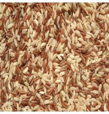 Riz Sauvage