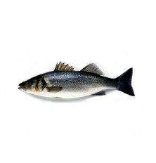 poisson Bar