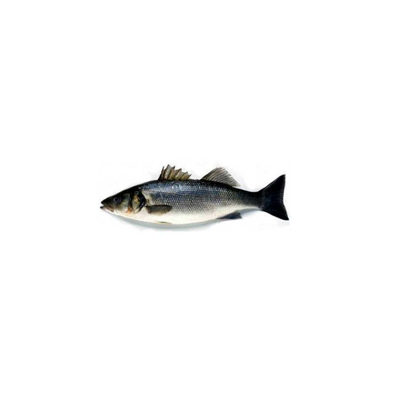 poisson Bar poisson Bar