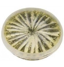 Anchois Marines