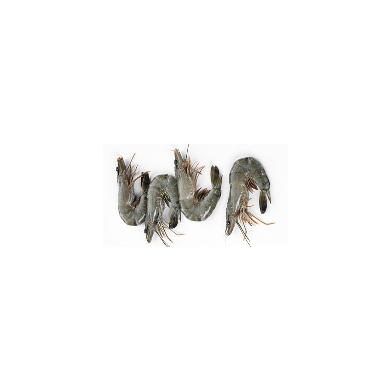 Crevettes Tigrées Entieres Crues Crevettes Tigrées Entieres Crues
