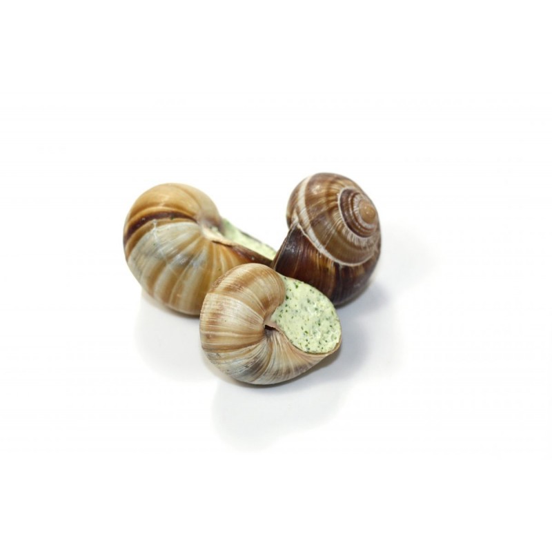 Escargot Bourgogne Tres Gros Surgele Escargot Bourgogne Tres Gros Surgele