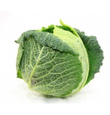 Choux Vert