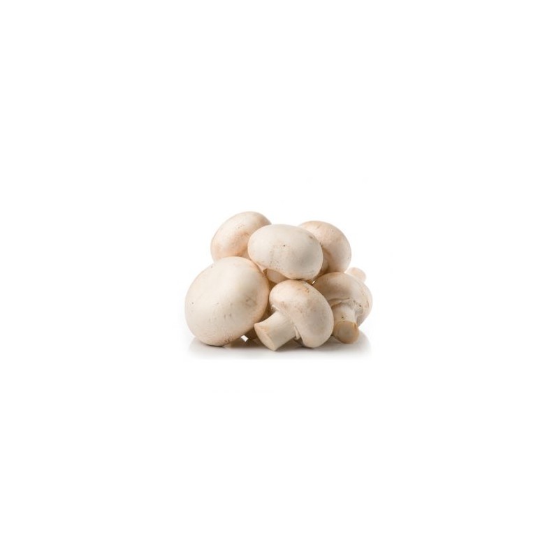 Champignons De Paris Champignons De Paris
