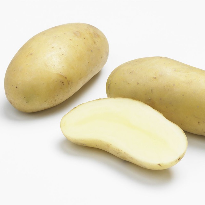 Pomme de Terre Charlotte Pomme de Terre Charlotte