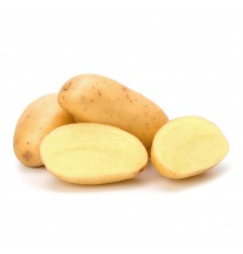 Pomme de Terre Agria Lavée