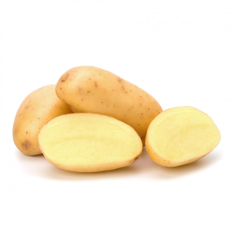 Pomme de Terre Agria Lavée Pomme de Terre Agria Lavée