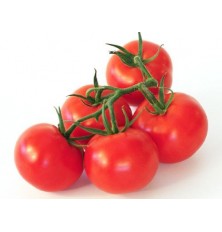 Tomate grappe
