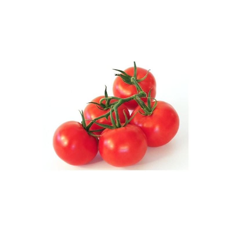 Tomate grappe Tomate grappe