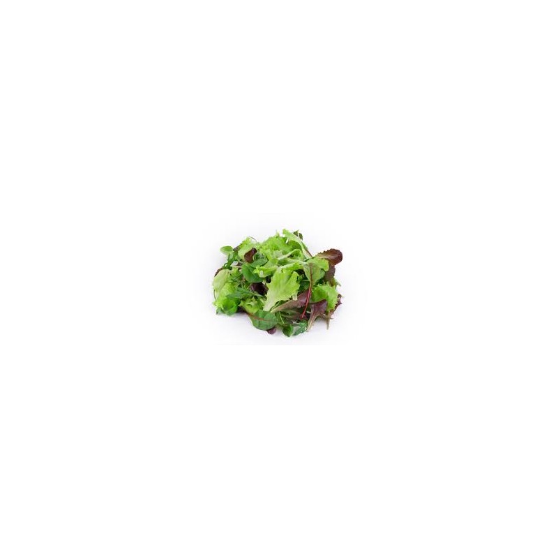 Salade Mesclun Salade Mesclun