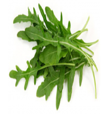 Salade Roquette